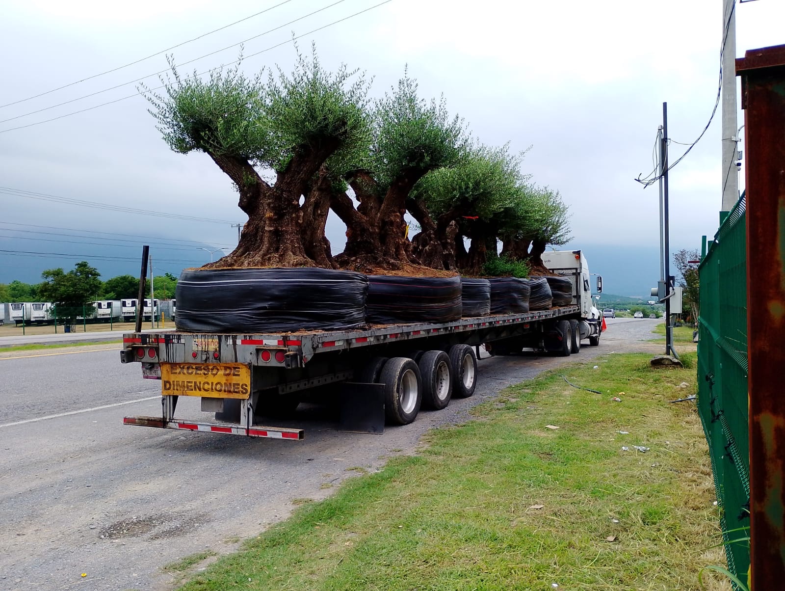 Transporte en plataformas pesadas