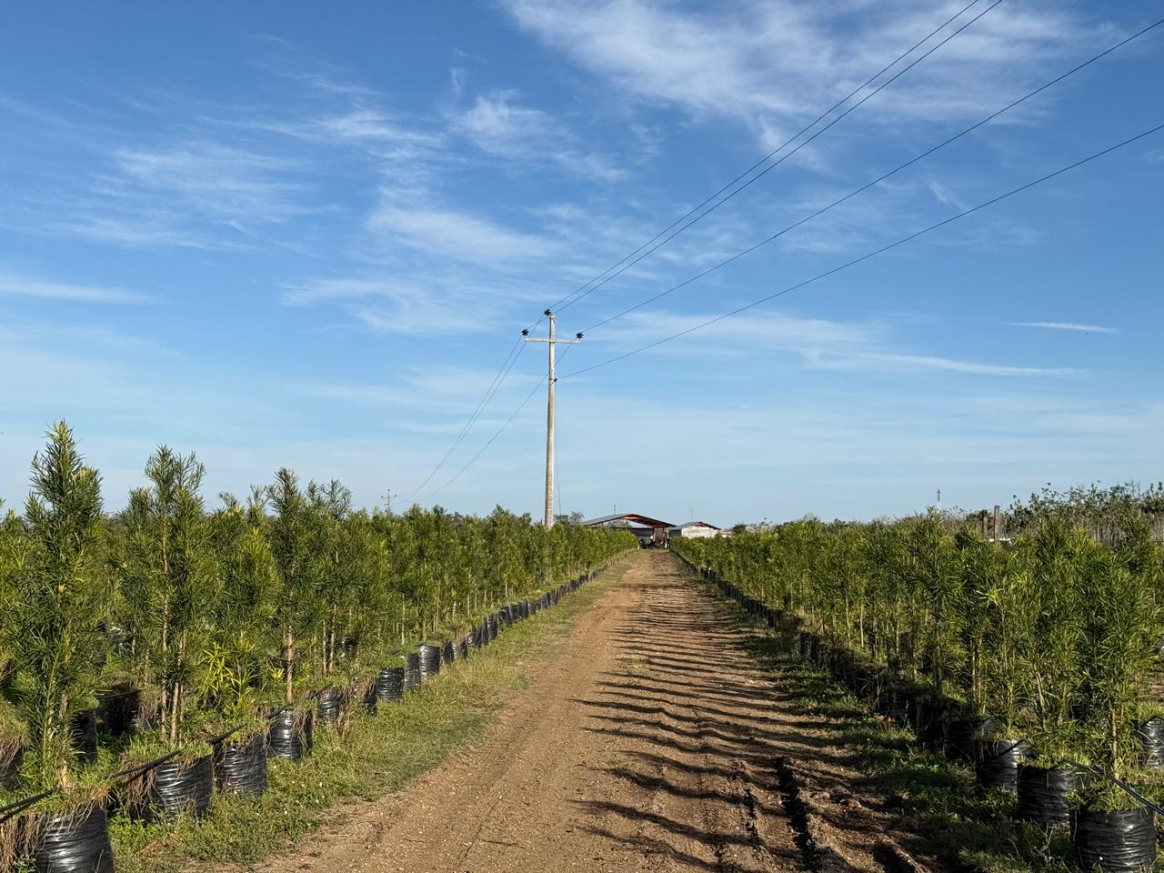 Vista 7